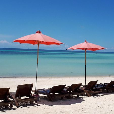 Phangan Cove Beach Resort Srithanu Eksteriør billede